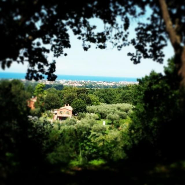 Agriturismo La Barca Nel Bosco Rosciano  Exterior foto